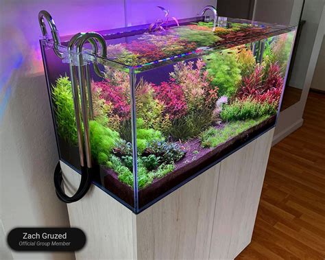 Waterbox aquarium - We bring aquatic nature to you at home or office. Our passionate and experienced team helps to you design, set up and maintain aquarium of your choice - freshwater or marine. Exclusive retailer of Waterbox aquarium - ultra-clear glass, simple, functional and safe. Designer aquarium showroom at InSpace.